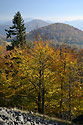 Autumn in "Luice Mts." - main link