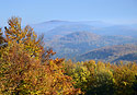 Autumn in "Luice Mts." - main link