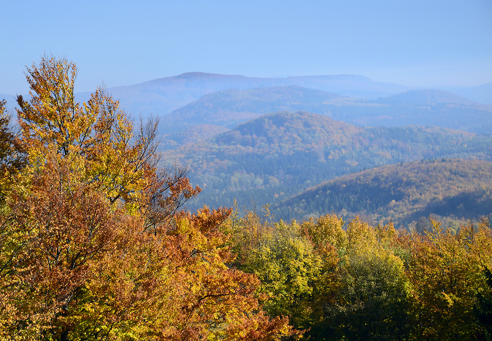 Autumn in "Luice Mts." - larger format