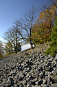 Autumn on the "Cold Hill" - main link