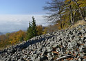 Autumn on the "Cold Hill" - main link