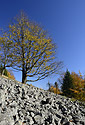 Autumn on the "Cold Hill" - main link