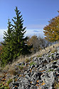 On the "Cold Hill" - main link