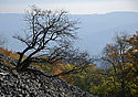 On the "Cold Hill" - main link
