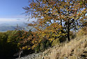 Autumn on the "Cold Hill" - main link