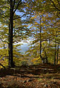 Autumn on the "Cold Hill" - main link