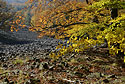 Autumn on the "Cold Hill" - main link