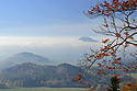 Autumn on the "Cold Hill" - main link