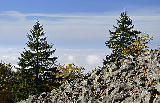 On the "Cold Hill" - smaller format