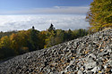 On the "Cold Hill" - main link