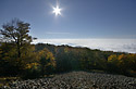 On the "Cold Hill" - main link
