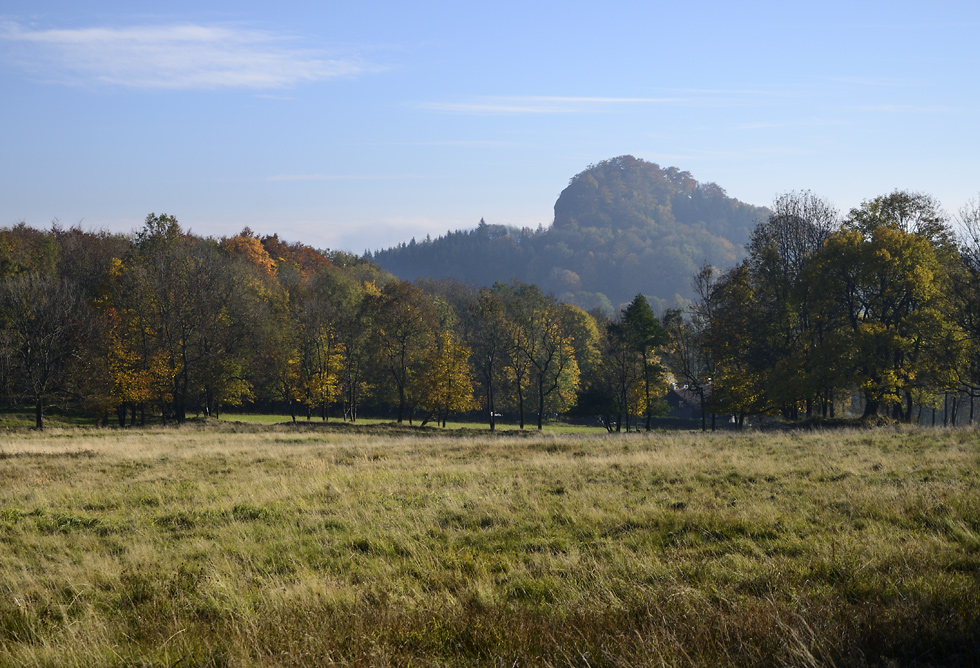 "Golden Hill" - larger format