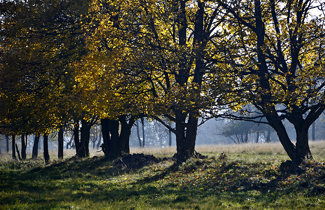 Autumn under the "Cold Hill" - smaller format
