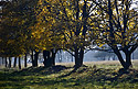 Autumn under the "Cold Hill" - main link