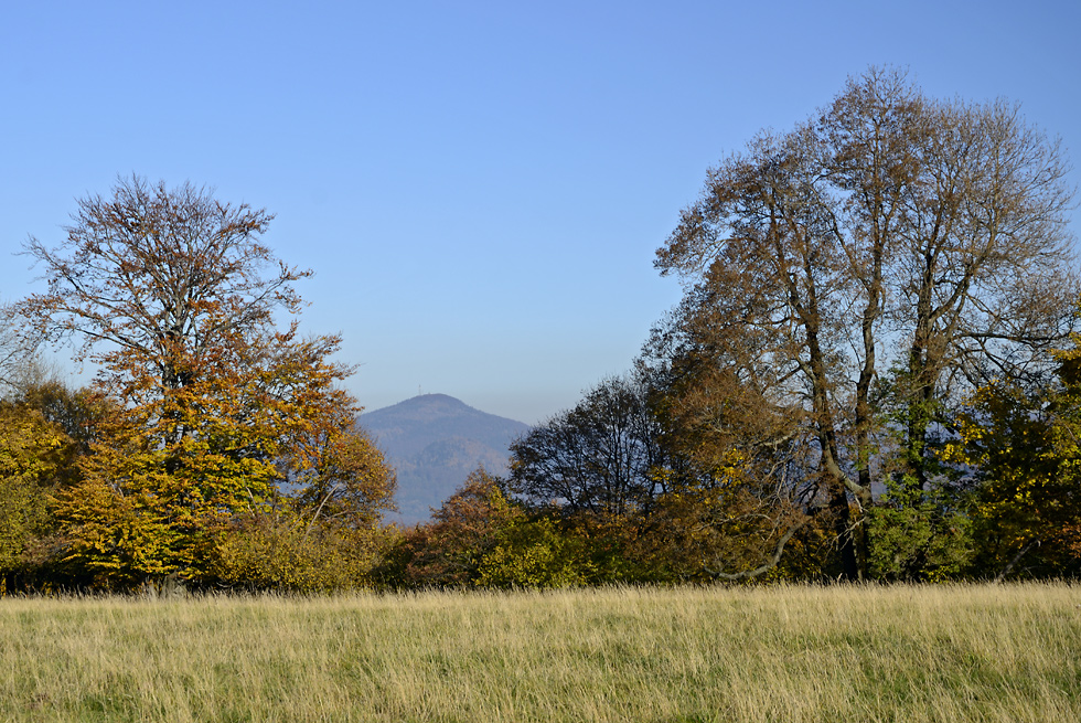"Fir Hill" - larger format