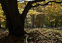 Podzim na Javorku - hlavn odkaz