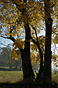 Autumn under the "Cold Hill" - main link