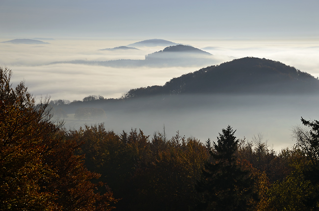 Mist - smaller format