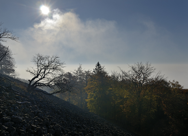 Morning on the "Cold Hill" - smaller format