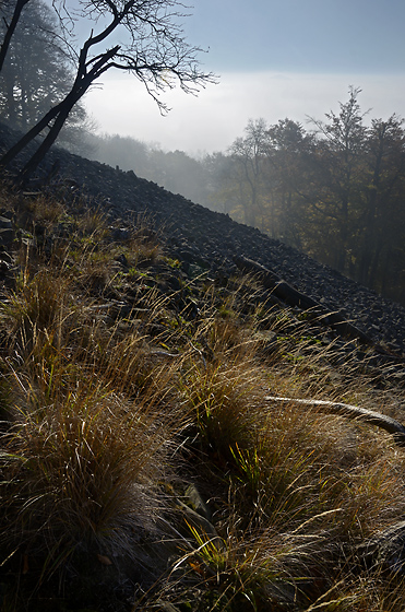 Morning on the "Cold Hill" - smaller format