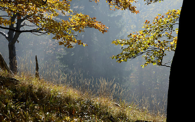 Morning on the "Cold Hill" - smaller format
