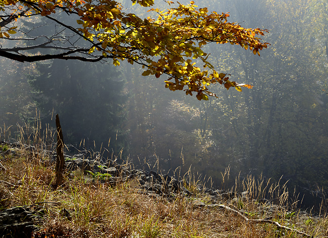 Morning on the "Cold Hill" - smaller format