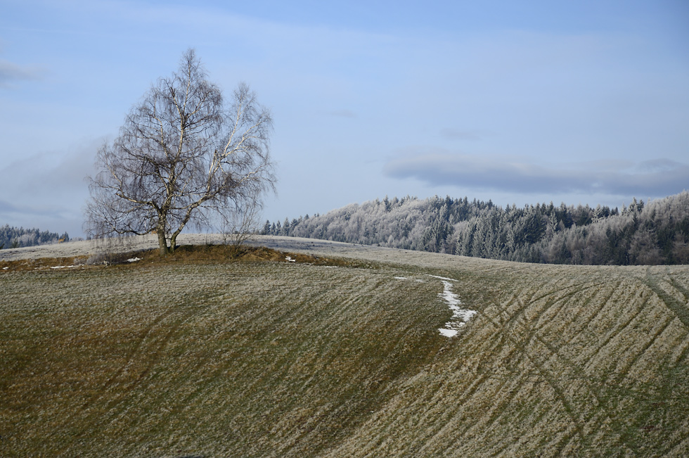 Near "Odolov" - larger format