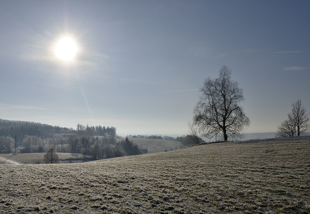 Near "Odolov" - larger format