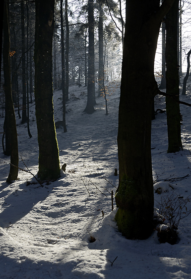 Backlight - smaller format