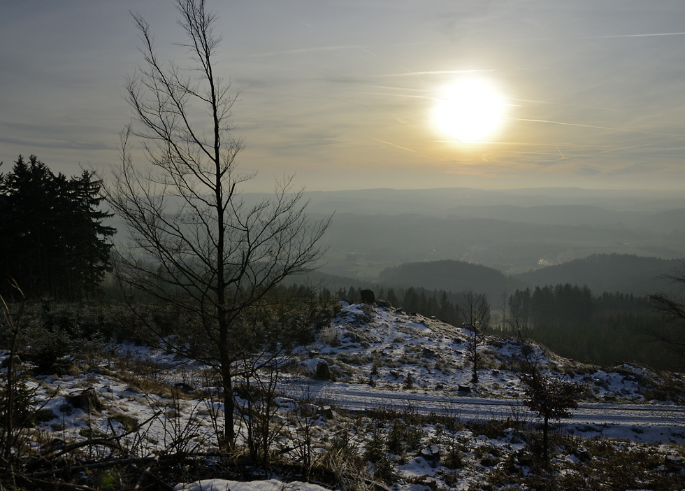 Late afternoon - larger format