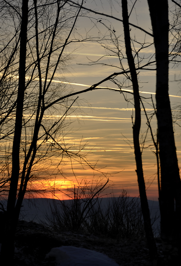 Late afternoon - larger format