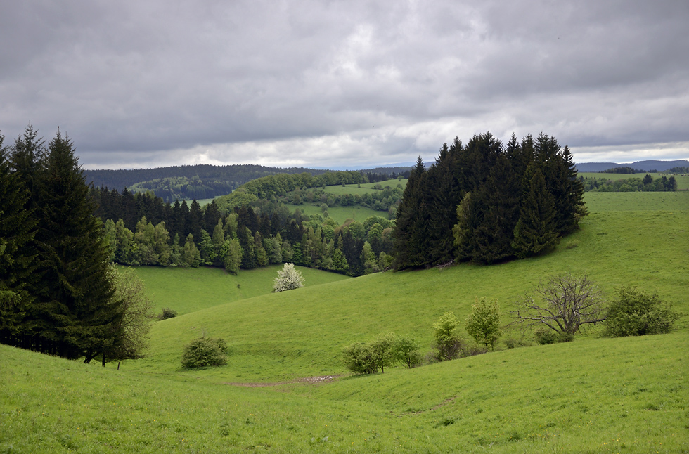 Nad Janovicemi - vt formt