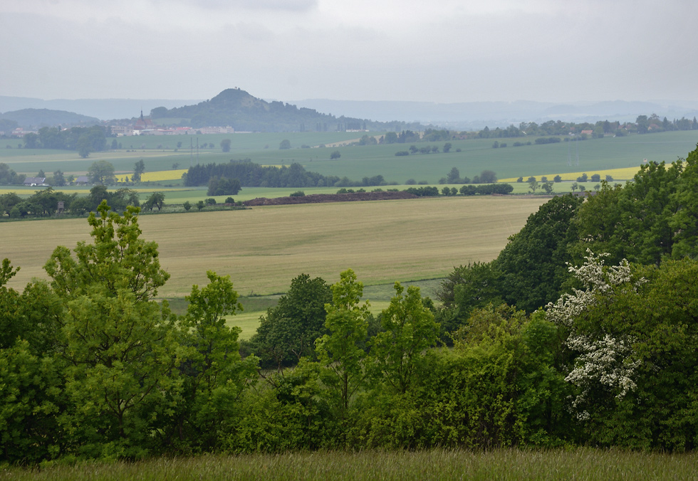 "Zebn" Hill - larger format