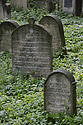 Jewish cemetery od "Jin" - main link