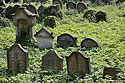 Jewish cemetery od "Jin" - main link