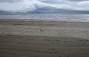 Inch Beach - hlavn odkaz