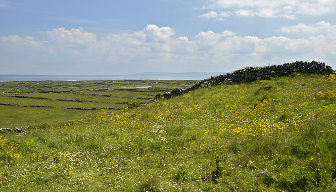 Krajina na Inishmore - men formt