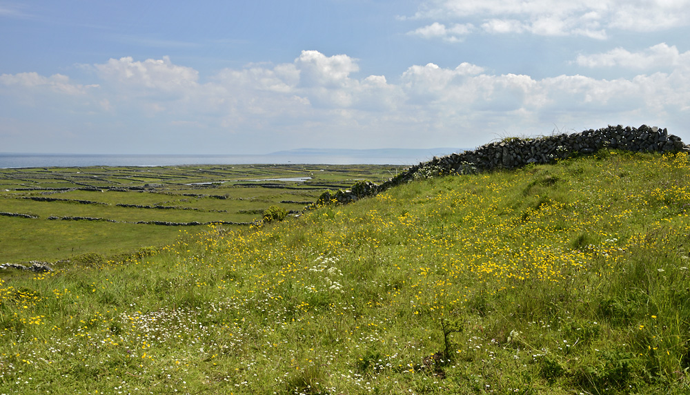 Krajina na Inishmore - vt formt