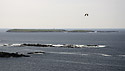 Rathlin O`Birne Island - hlavn odkaz