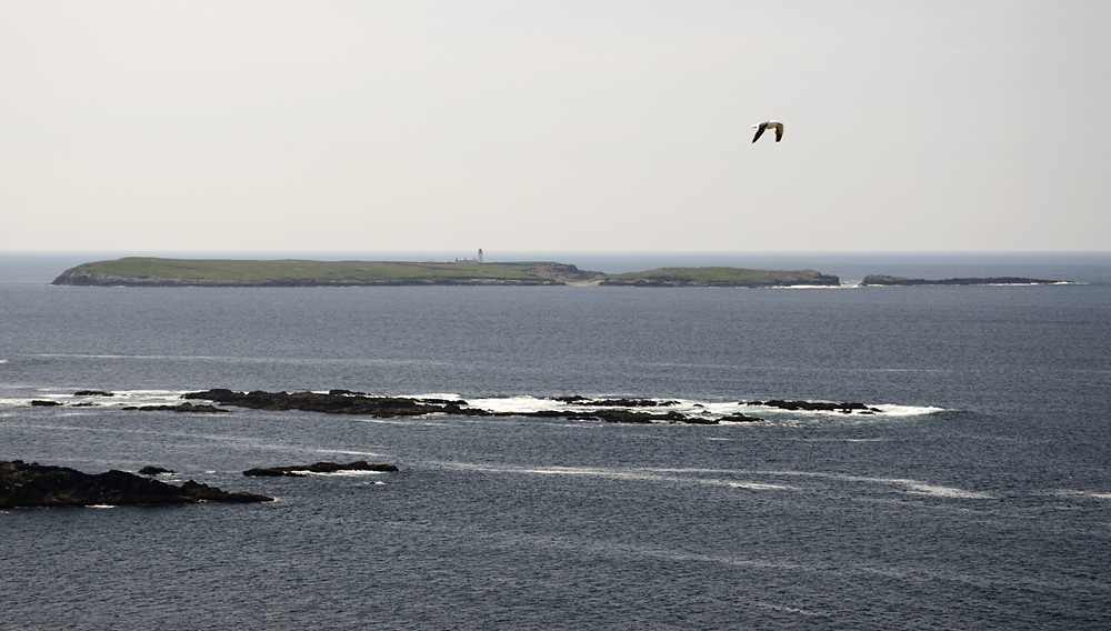 Rathlin O`Birne Island - vt formt