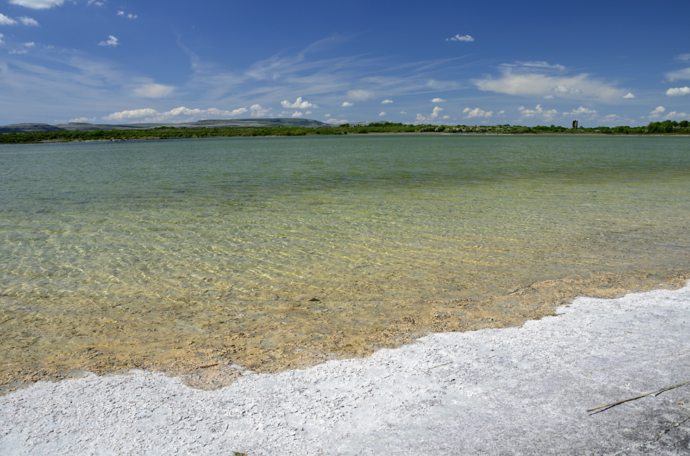 Lough Bunny - vt formt