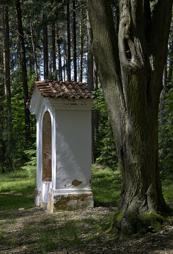 Stations of the Cross - larger format