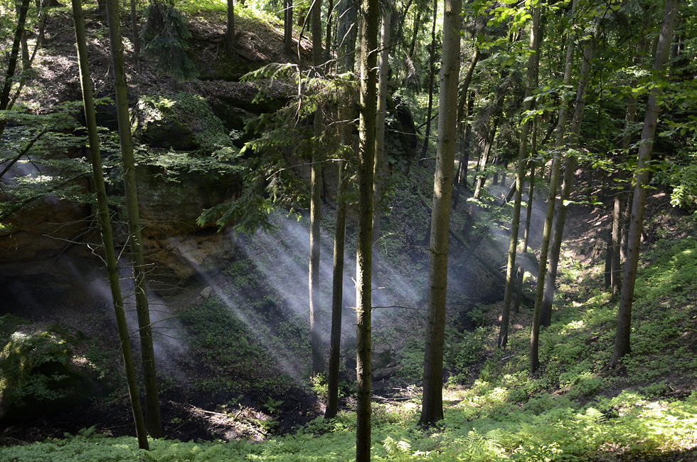 Morning rays - larger format