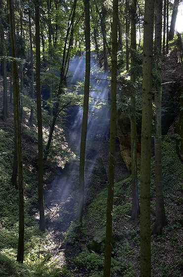 Morning rays - smaller format