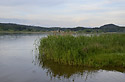 Evening at "Mosquito Pond" - main link