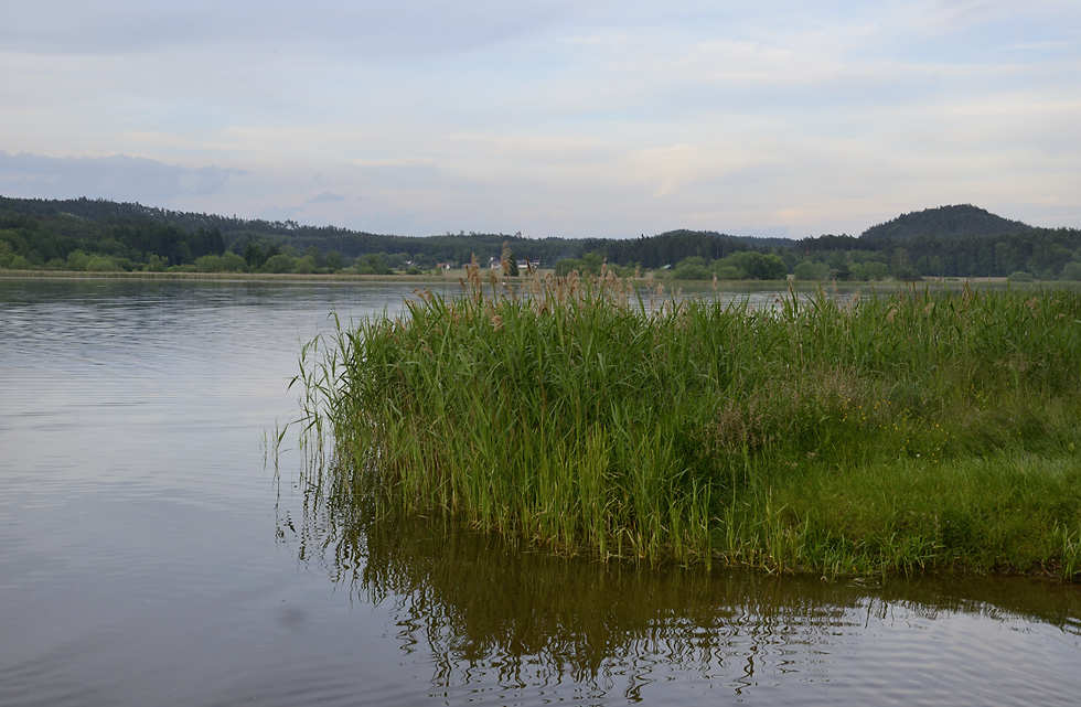 Evening at "Mosquito Pond" - larger format