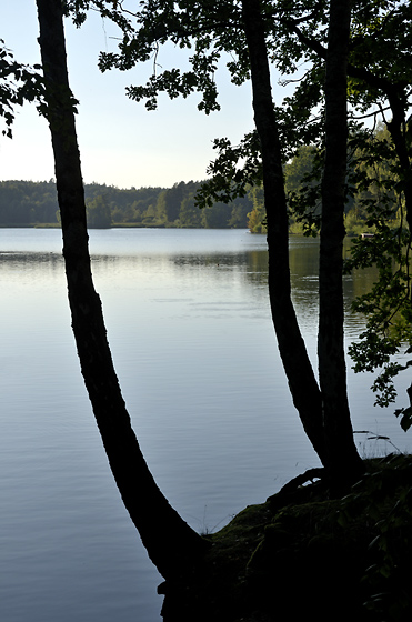 Early evening at the pond - smaller format