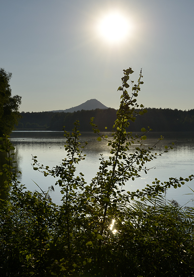 Early evening at the pond - smaller format