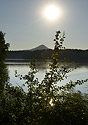 Early evening at the pond - main link