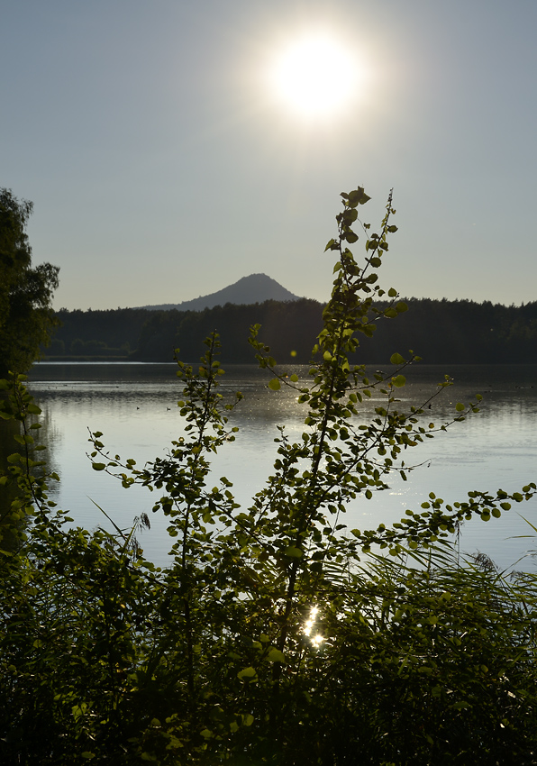 Early evening at the pond - larger format